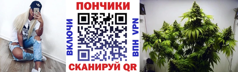 Бошки марихуана планчик MEGA ссылка Усть-Кут